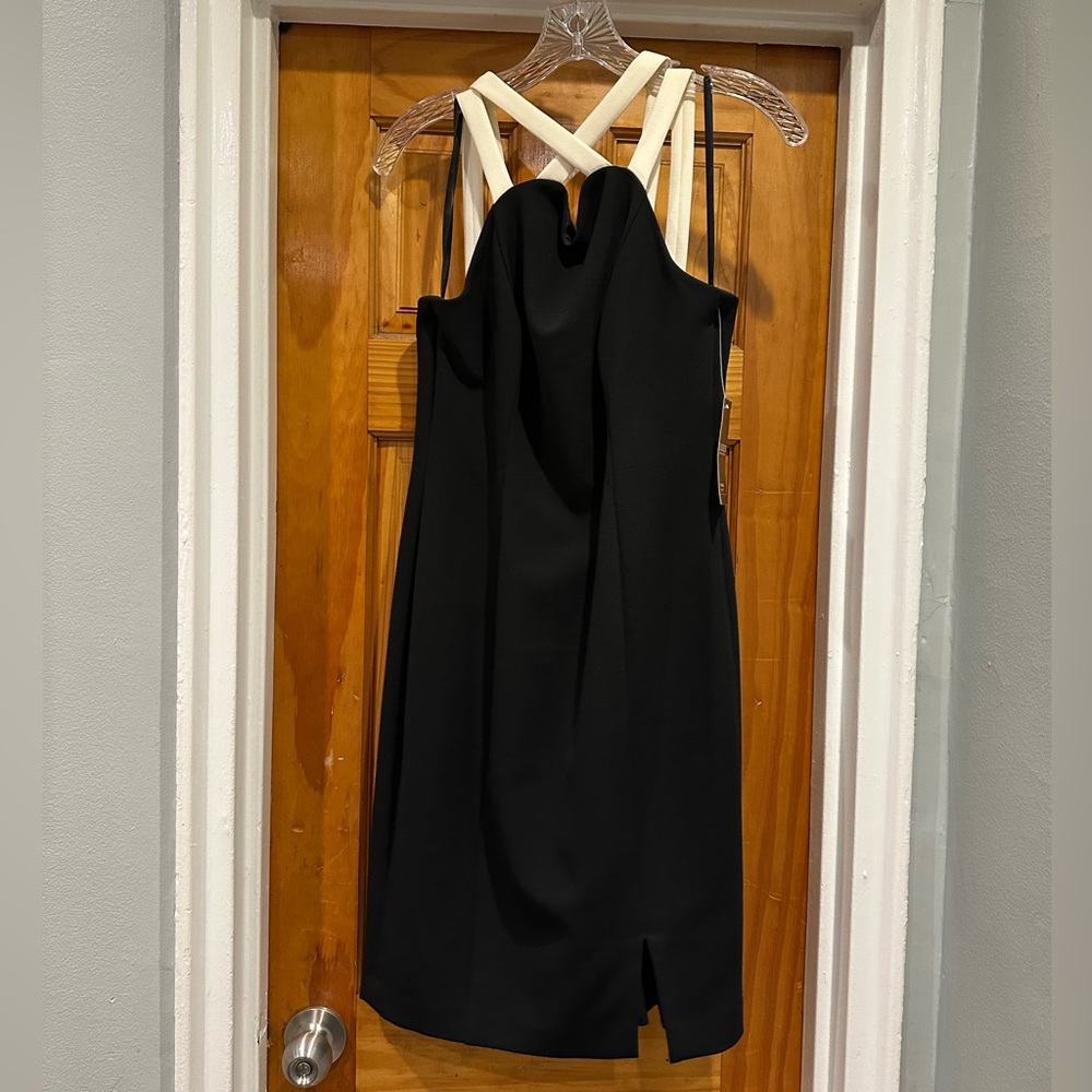 Women’s Petite Size 8 Ralph Lauren Dress